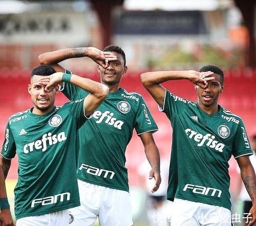 开花的战术 开花的战术